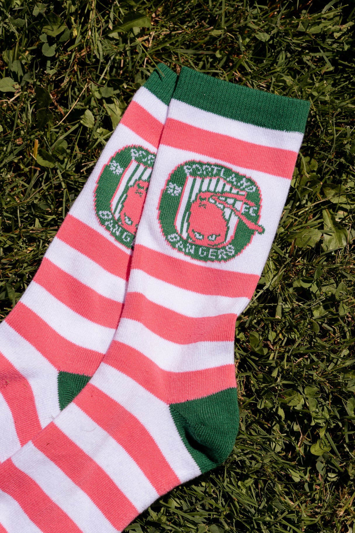 Portland Bangers Saucy's Pink & White Stripe Socks